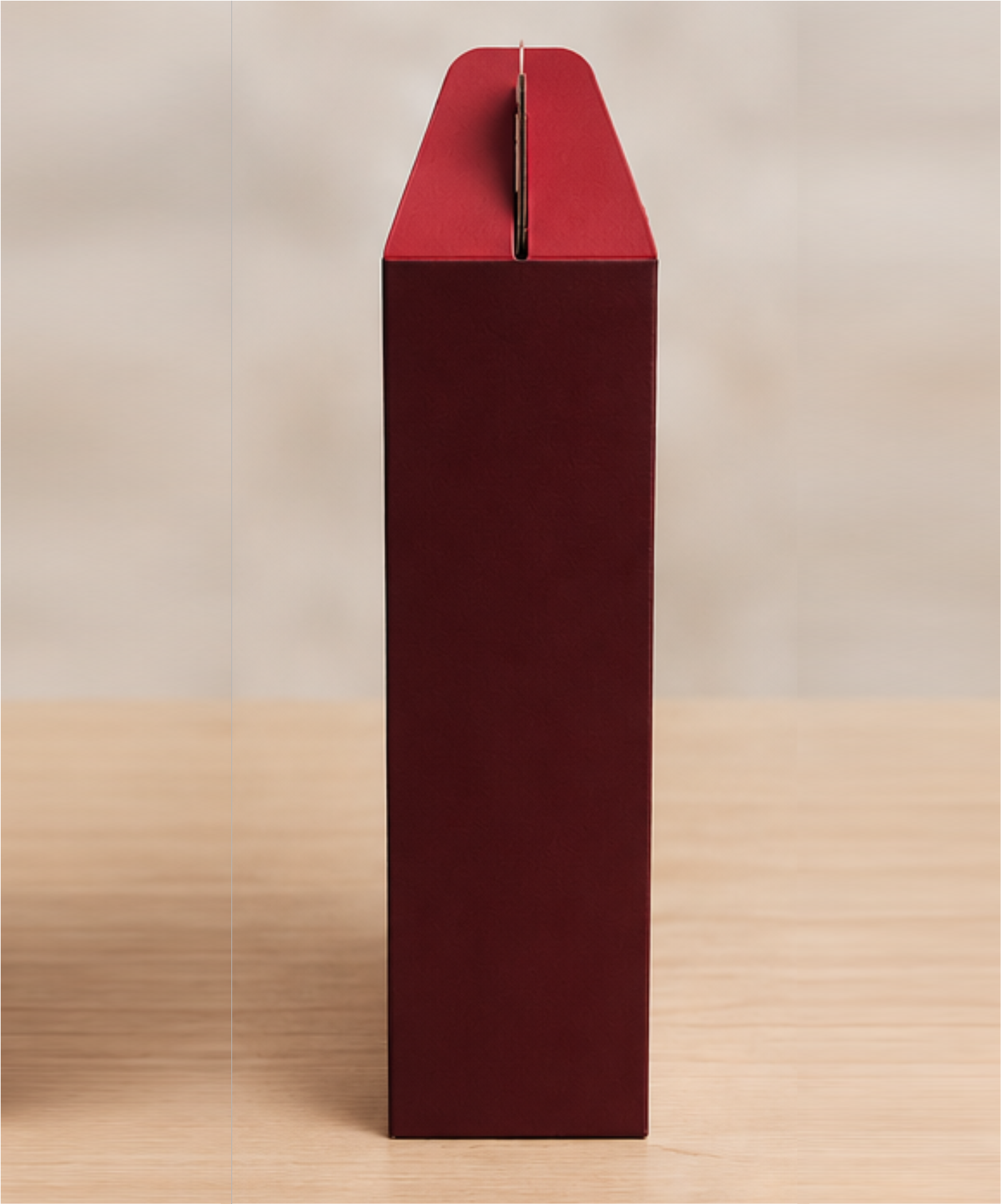 CAIXA PRESENTE MALETA - C31 - 190X55X235